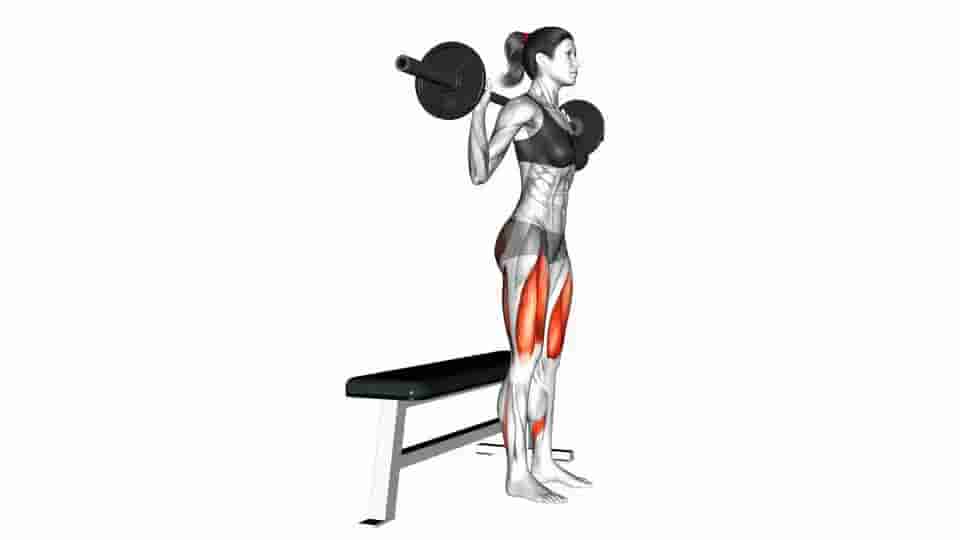 Thumbnail for the video of exercise: Barbell Bench Squat 