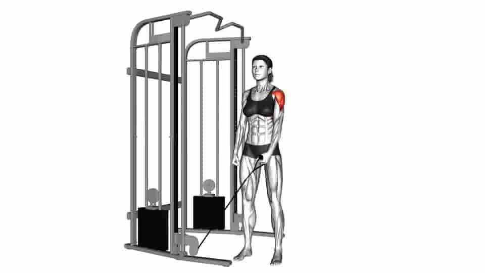 Thumbnail for the video of exercise: Cable One Arm Lateral Raise 