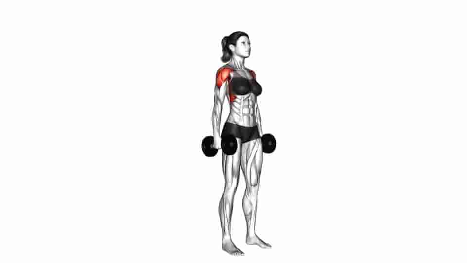 Thumbnail for the video of exercise: Dumbbell Standing Lateral Raise 
