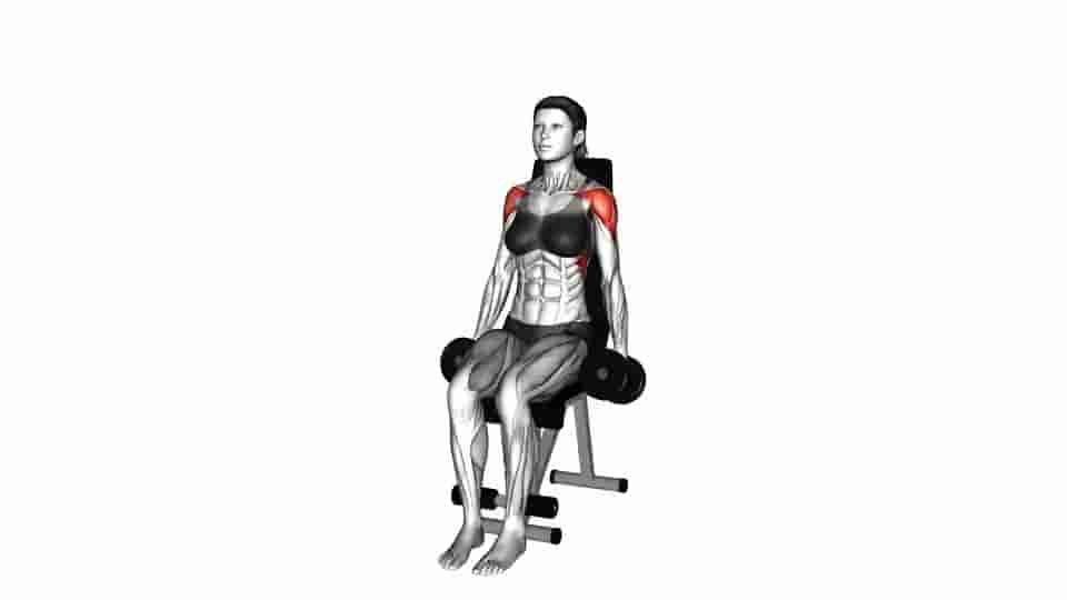 Thumbnail for the video of exercise: Dumbbell Seated Lateral Raise 