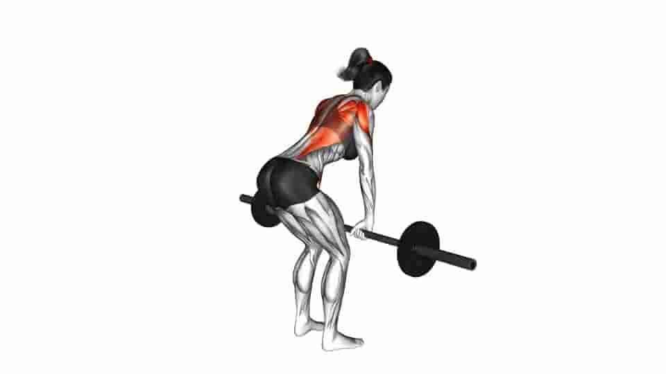 Thumbnail for the video of exercise: Barbell Bent Over Row 