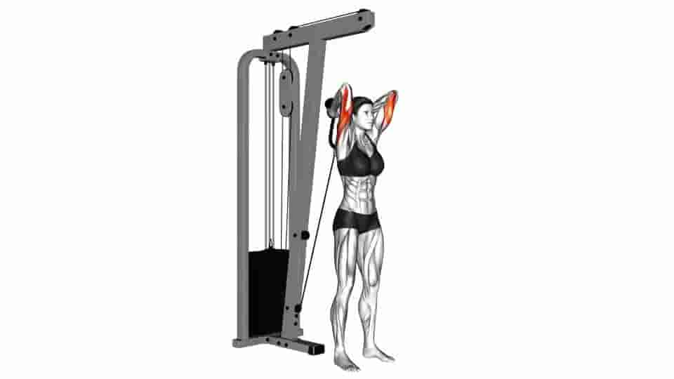 Thumbnail for the video of exercise: Cable Overhead Triceps Extension 