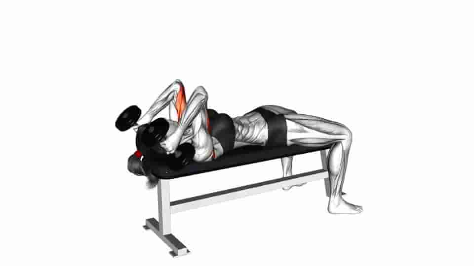Thumbnail for the video of exercise: Dumbbell Lying Triceps Extension 