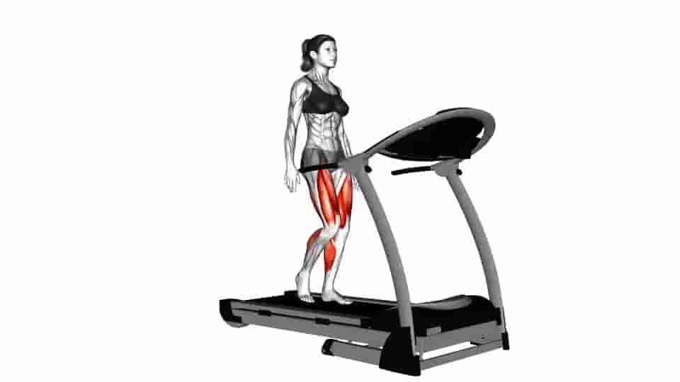 Thumbnail for the video of exercise: Walking on Treadmill 