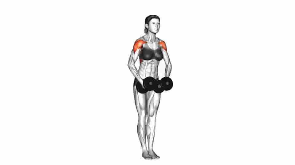 Thumbnail for the video of exercise: Dumbbell Standing Bent Arm Lateral raise 