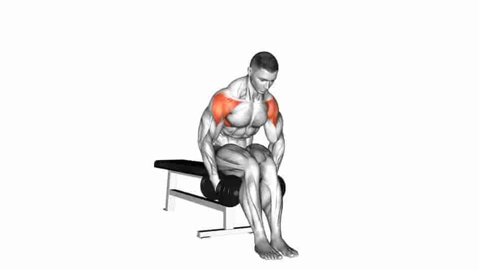 Thumbnail for the video of exercise: Dumbbell Seated Bent Arm Lateral raise