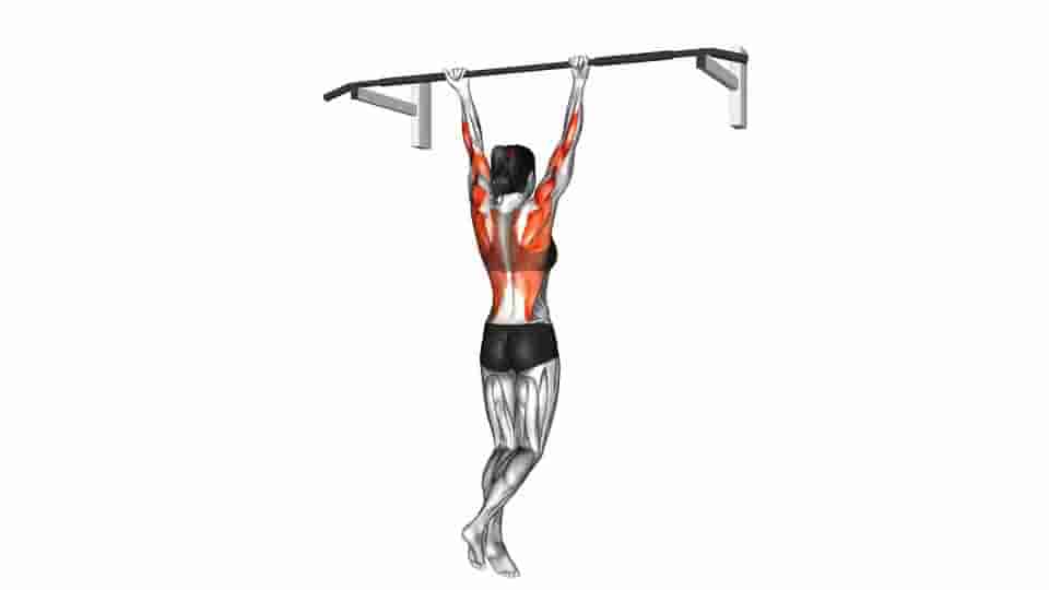 Thumbnail for the video of exercise: Chin-Up 
