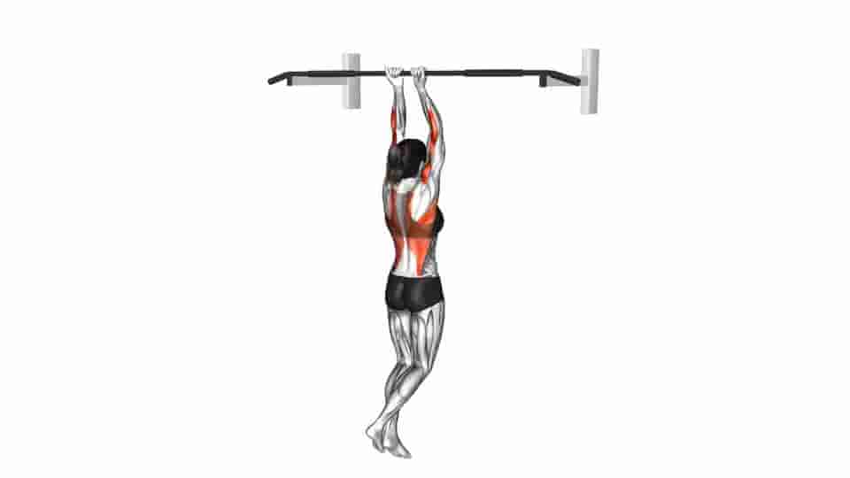 Thumbnail for the video of exercise: Close-Grip Chin-Up 