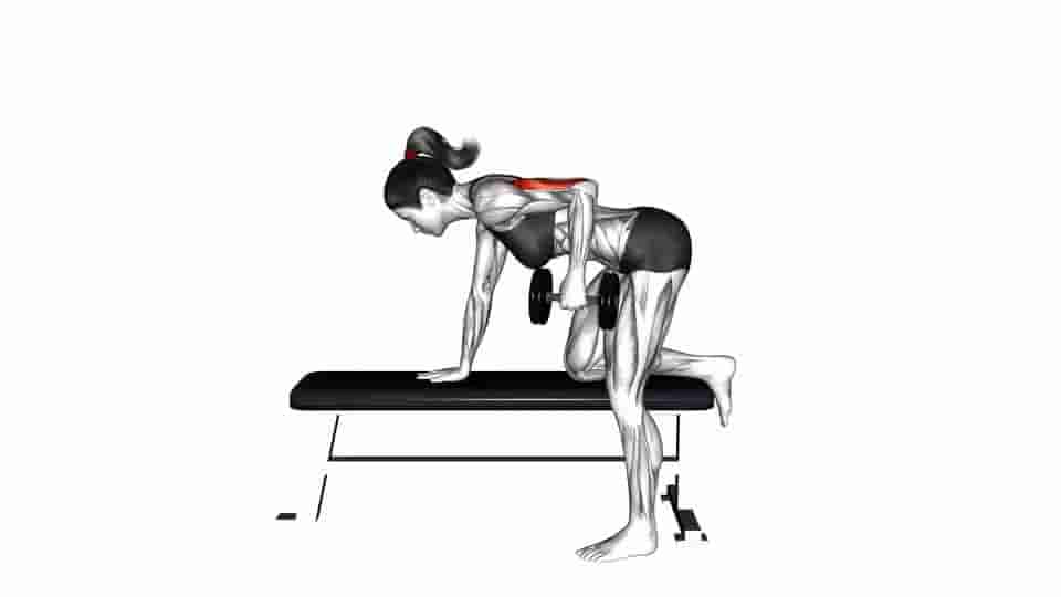 Thumbnail for the video of exercise: Dumbbell Kickback 