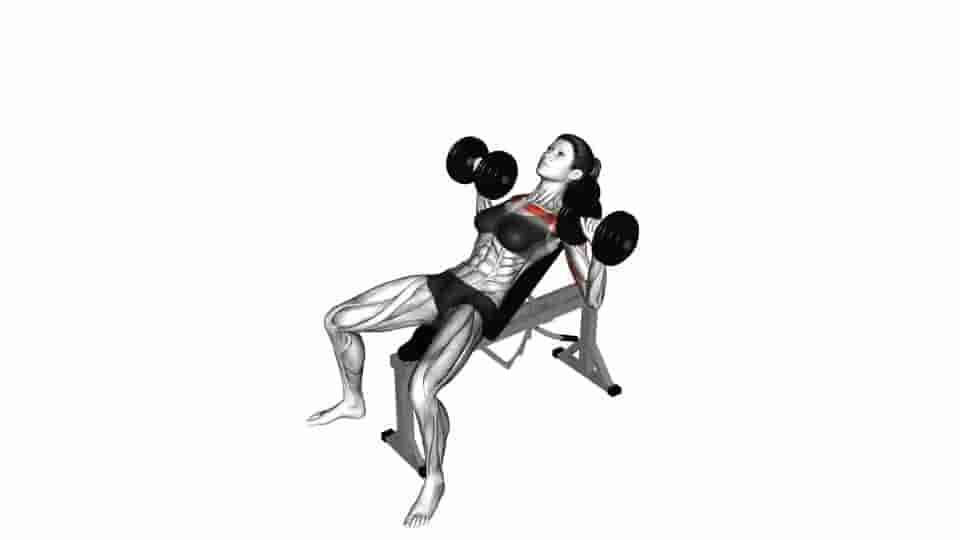 Thumbnail for the video of exercise: Dumbbell Incline Bench Press 