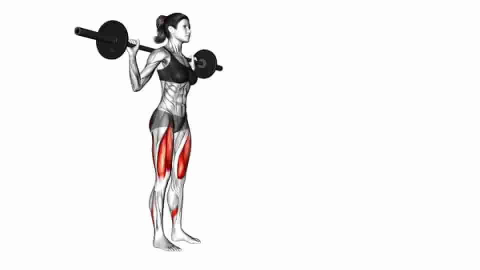 Thumbnail for the video of exercise: Barbell Lunge 