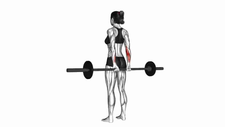 Thumbnail for the video of exercise: Barbell Standing Back Wrist Curl 