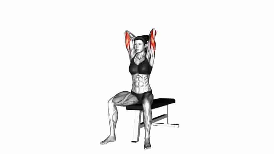 Thumbnail for the video of exercise: Dumbbell Seated Triceps Extension 