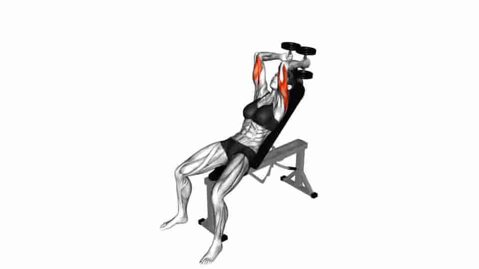Thumbnail for the video of exercise: Dumbbell Incline Triceps Extension 