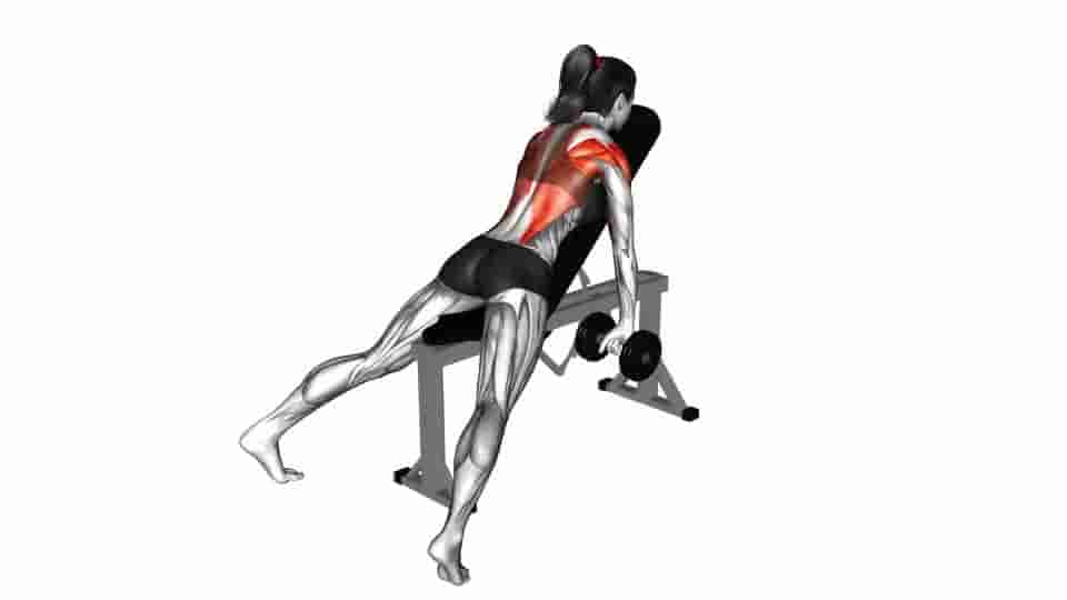 Thumbnail for the video of exercise: Dumbbell Incline Row 