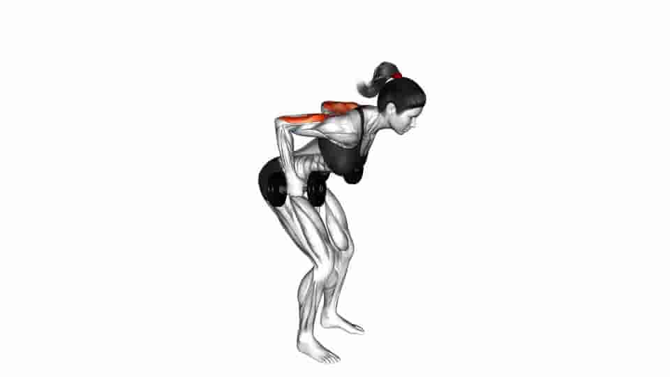 Thumbnail for the video of exercise: Dumbbell Standing Kickback 