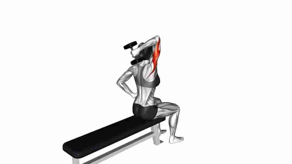 Thumbnail for the video of exercise: Dumbbell One Arm Triceps Extension 