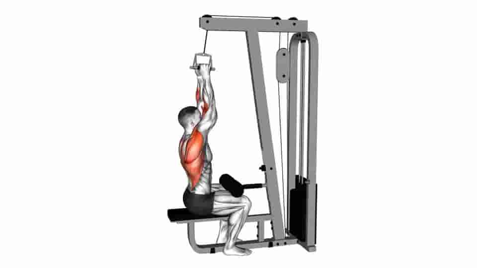 Thumbnail for the video of exercise: Cable Lateral Pulldown with V-bar