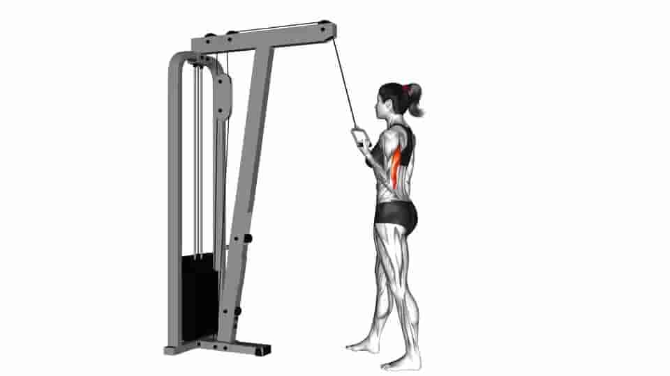 Thumbnail for the video of exercise: Cable Standing One Arm Triceps Extension 