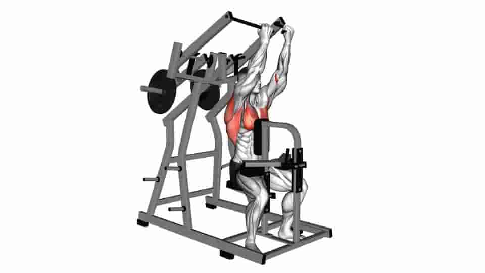 Thumbnail for the video of exercise: Lever Reverse grip Lateral Pulldown 