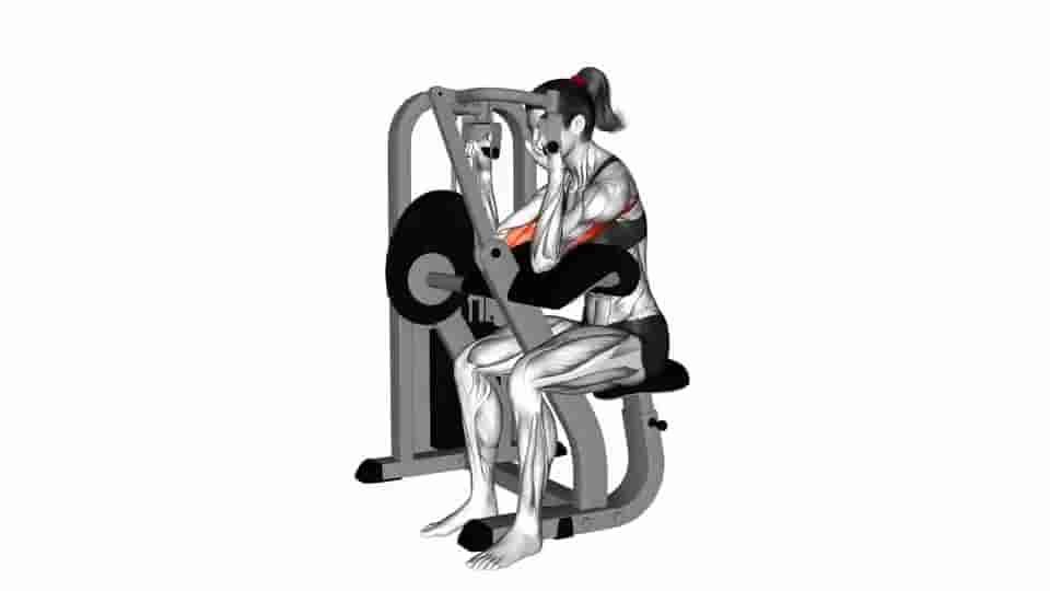 Thumbnail for the video of exercise: Lever Triceps Extension 