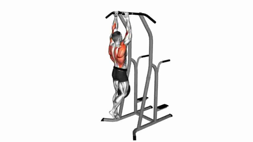 Thumbnail for the video of exercise: Weighted Hammer Grip Pull-up on Dip Cage