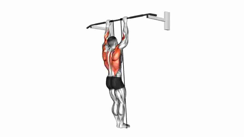 Thumbnail for the video of exercise: Band Assisted Pull-Up 