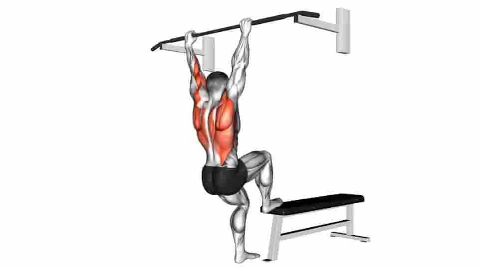 Thumbnail for the video of exercise: Bench Pull-ups