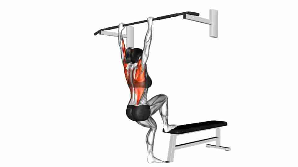 Thumbnail for the video of exercise: Bench Pull-ups 