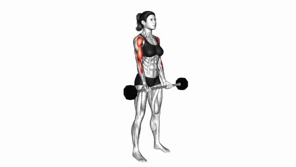 Thumbnail for the video of exercise: Barbell Drag Curl 