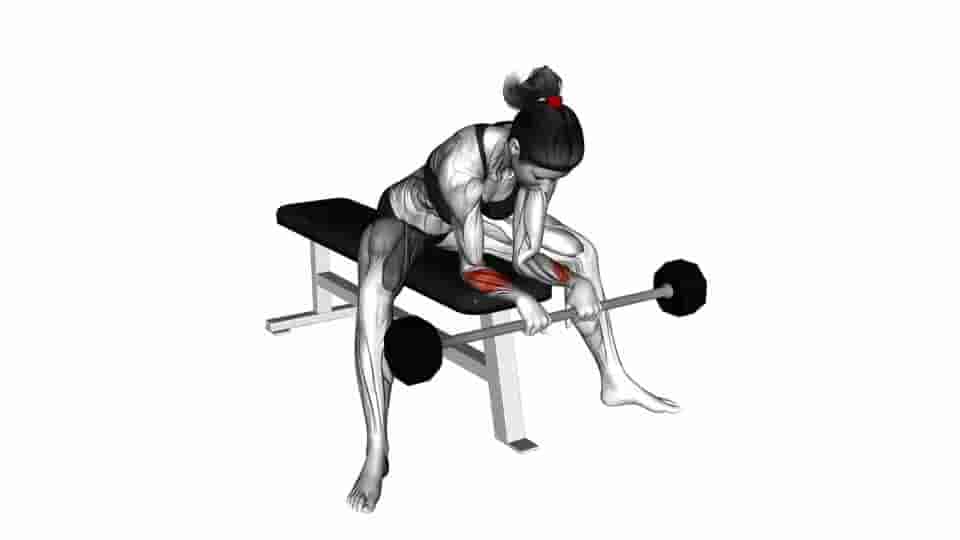 Thumbnail for the video of exercise: Barbell Reverse Wrist Curl 