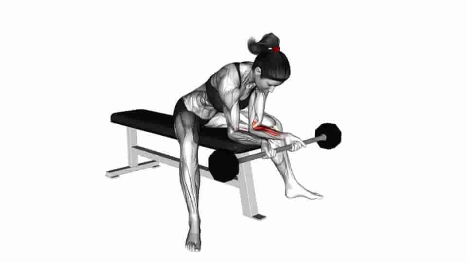 Thumbnail for the video of exercise: Barbell Wrist Curl 