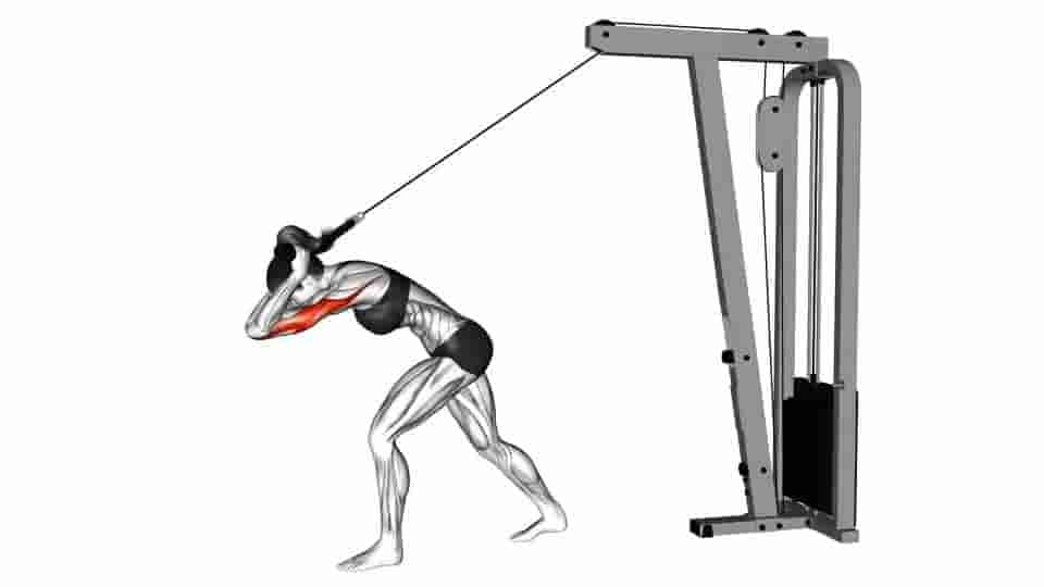 Thumbnail for the video of exercise: Cable High Pulley Overhead Tricep Extension 