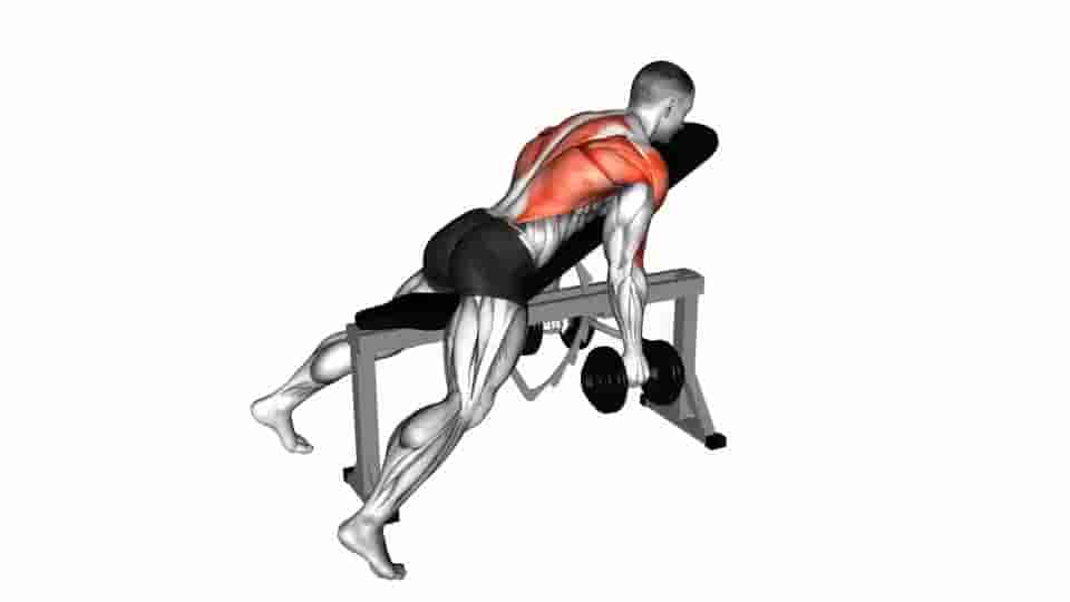 Thumbnail for the video of exercise: Dumbbell Hammer Grip Incline Bench Two Arm Row