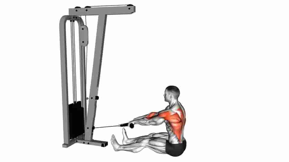 Thumbnail for the video of exercise: Cable Seated on Floor Row with Rope