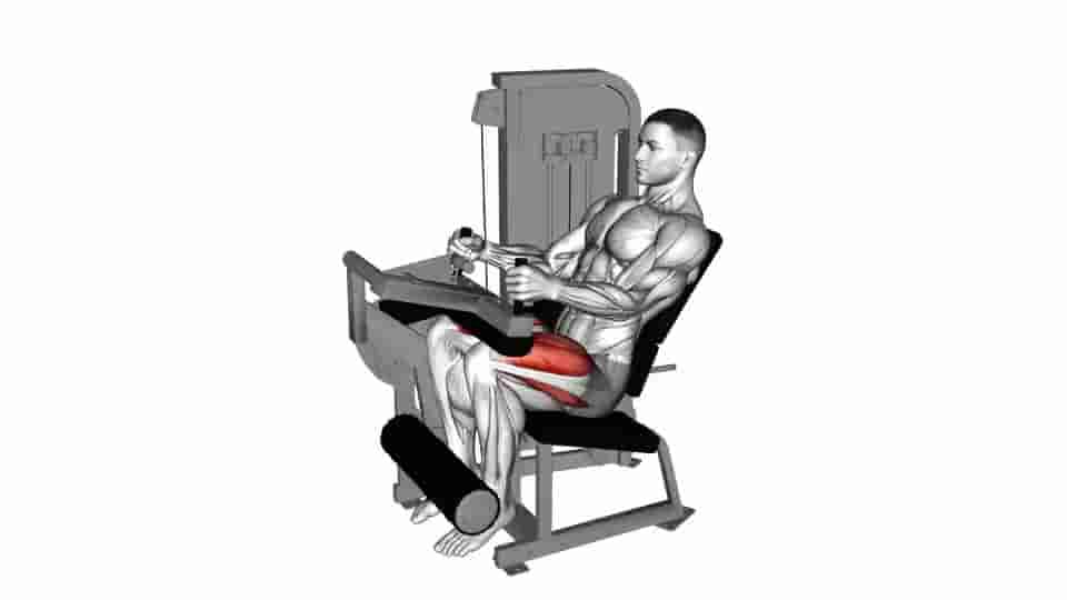 Thumbnail for the video of exercise: Lever Seated Leg Extension 