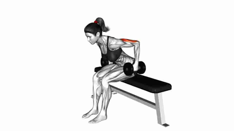 Thumbnail for the video of exercise: Dumbbell Seated Kickback 
