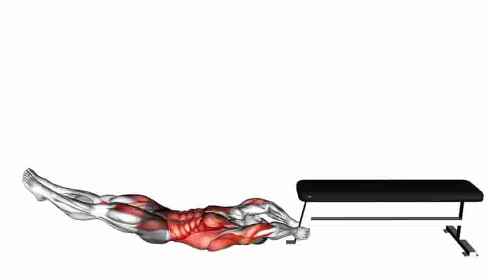Thumbnail for the video of exercise: Self Assisted Inverted Pullover