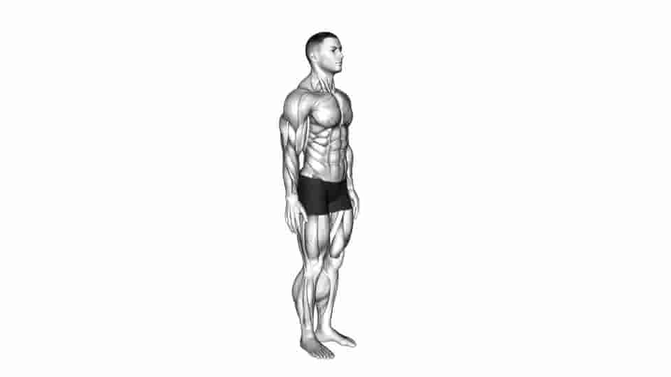 Thumbnail for the video of exercise: Standing Balance Quadriceps Stretch