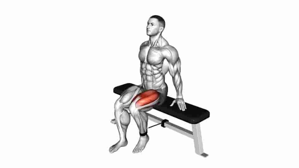 Thumbnail for the video of exercise: Band Seated Leg Extension 