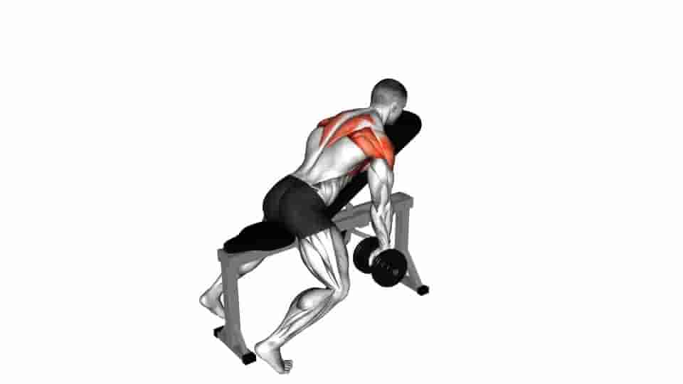 Thumbnail for the video of exercise: Dumbbell Incline Y-Raise