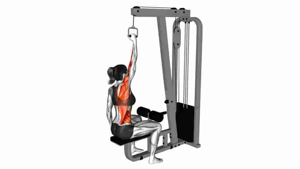 Thumbnail for the video of exercise: Cable One Arm Lat Pulldown 