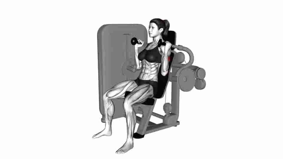 Thumbnail for the video of exercise: Lever Triceps Extension 
