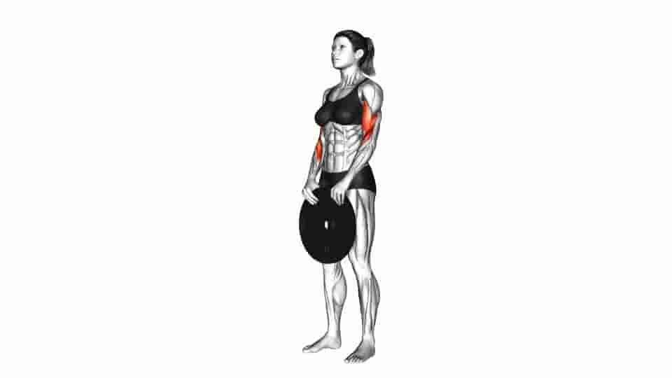 Thumbnail for the video of exercise: Weighted Standing Curl 