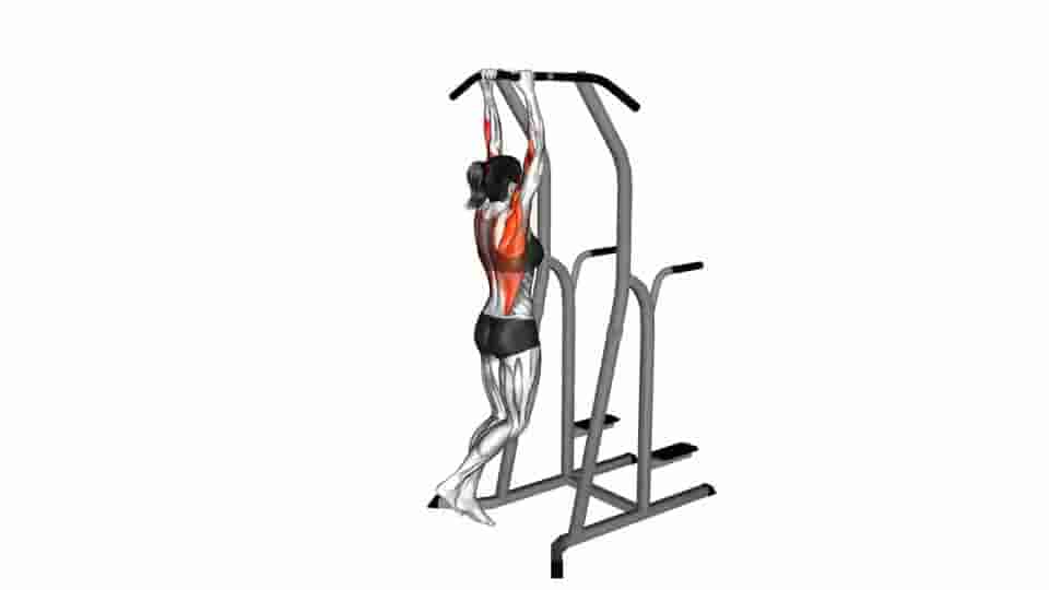 Thumbnail for the video of exercise: Hammer Grip Pull-up on Dip Cage 