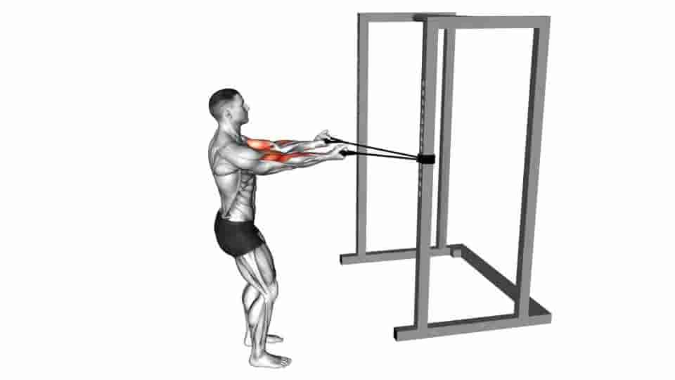 Thumbnail for the video of exercise: Band Horizontal Biceps Curl 