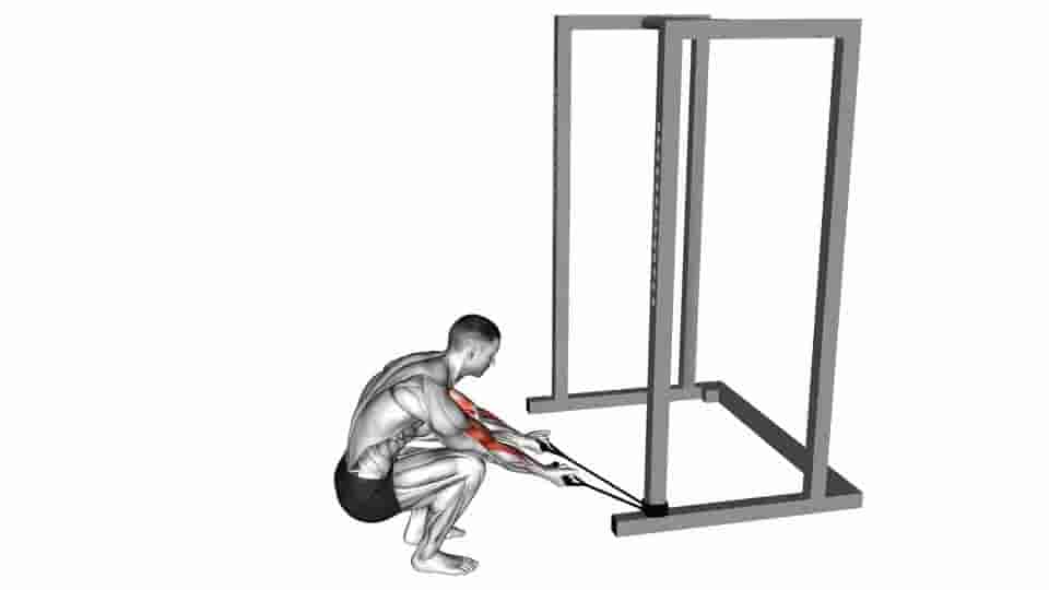 Thumbnail for the video of exercise: Band Kneeling Preacher Curl 