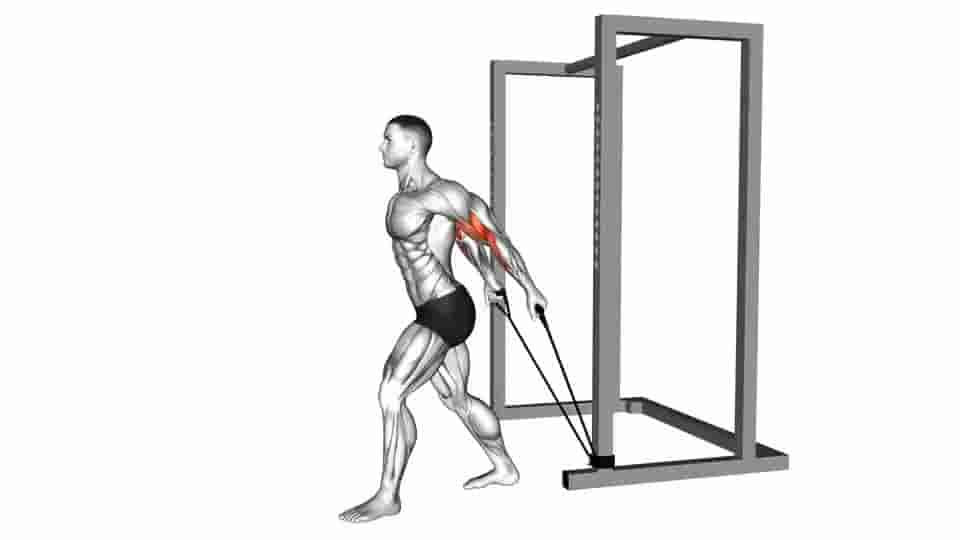 Thumbnail for the video of exercise: Band 45 degrees Biceps Curl 