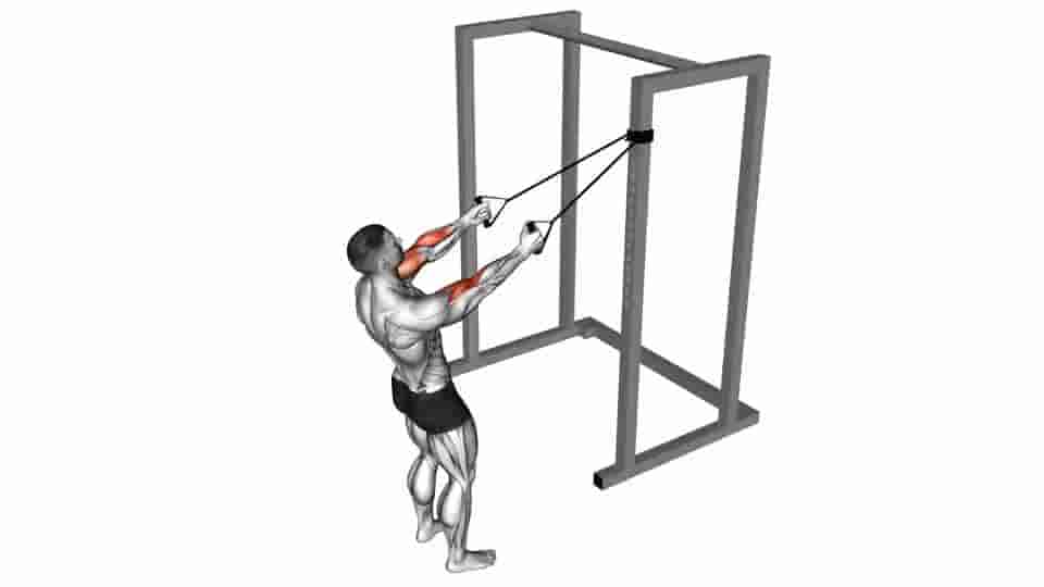 Thumbnail for the video of exercise: Band Cross Chest Biceps Curl 