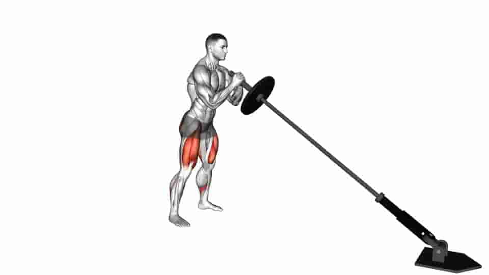 Thumbnail for the video of exercise: Landmine Front Squat